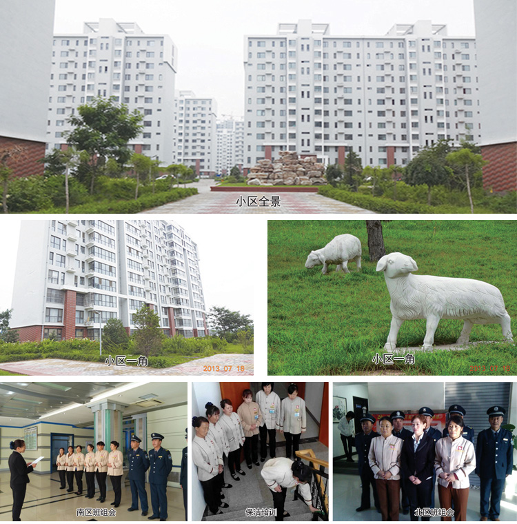 &#80;&#84;&#30495;&#20154;&#65288;&#20013;&#22269;&#65289;&#23448;&#26041;&#32593;&#31449;