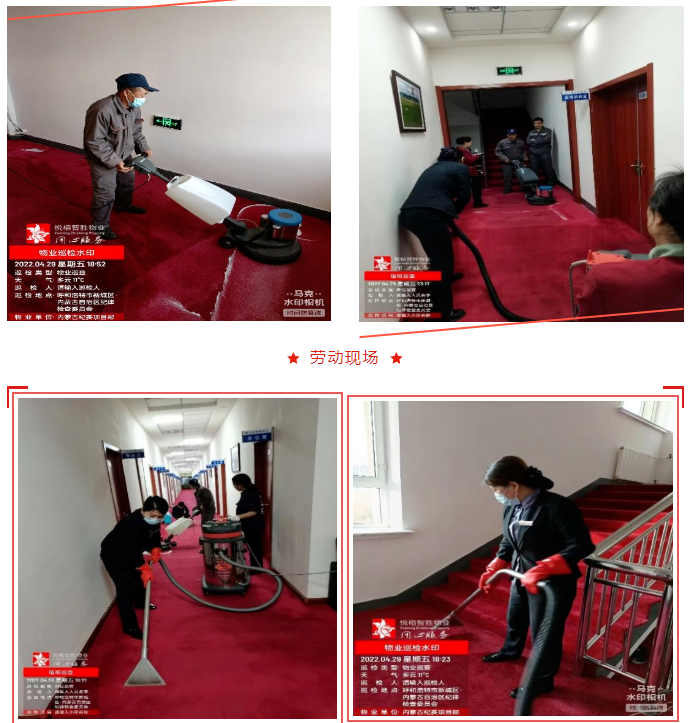 &#80;&#84;&#30495;&#20154;&#65288;&#20013;&#22269;&#65289;&#23448;&#26041;&#32593;&#31449;
