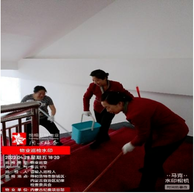 &#80;&#84;&#30495;&#20154;&#65288;&#20013;&#22269;&#65289;&#23448;&#26041;&#32593;&#31449;