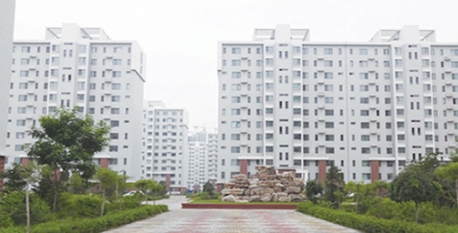 &#80;&#84;&#30495;&#20154;&#65288;&#20013;&#22269;&#65289;&#23448;&#26041;&#32593;&#31449;